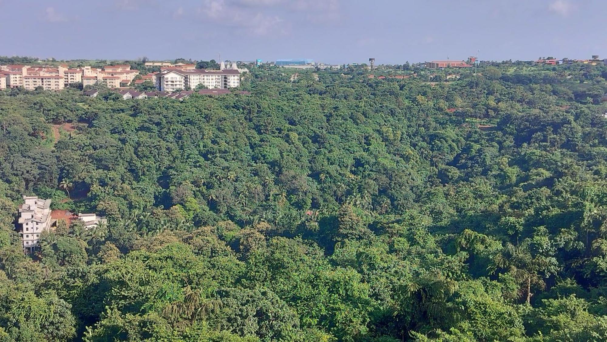 Good Stay 2Bhk Pool Apartment 10 Mins From Dabolim Airport Goa 102 Consua Eksteriør bilde